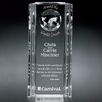 Capricorn Global Award 10